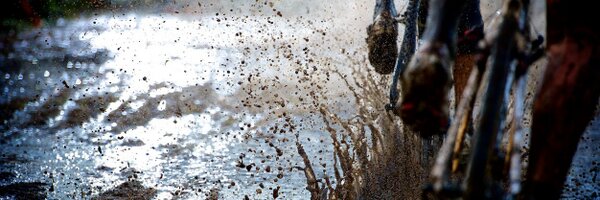 Eyereflection Profile Banner