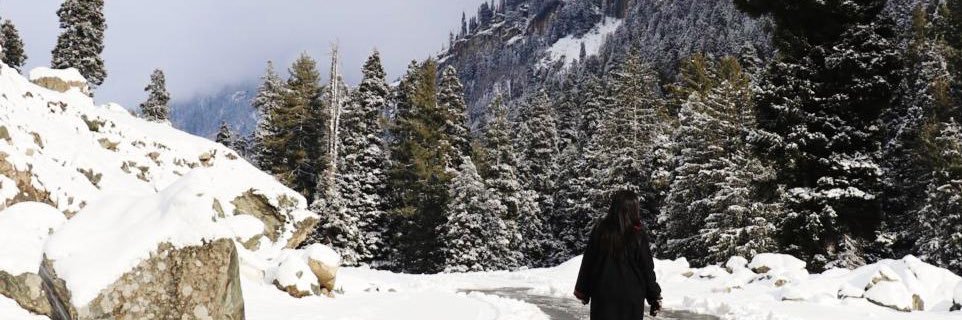 ashitajain06's profile banner image