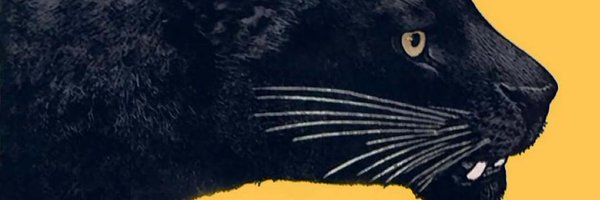 reclusivegems Profile Banner