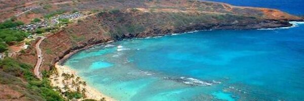 bkshimada Profile Banner