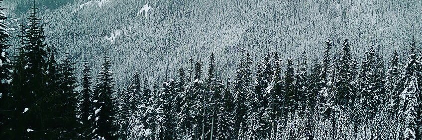 LerumCody's profile banner image