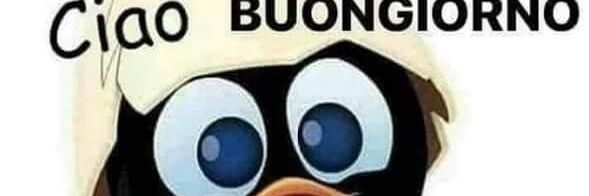 GIUSEPPA20's profile banner image