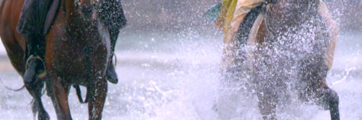 Luce Kerien banner