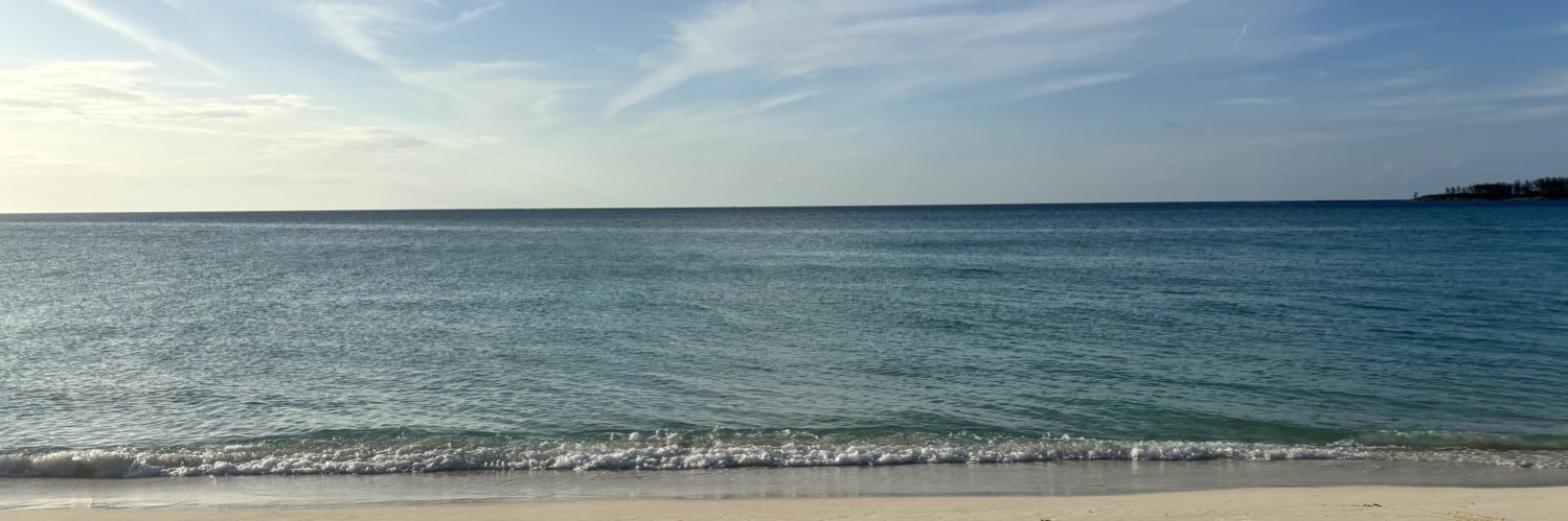 peachescs's profile banner image