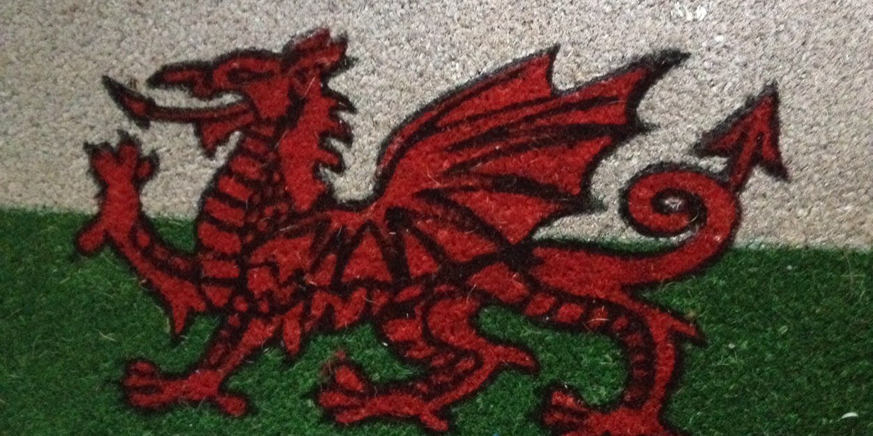 paula Green banner