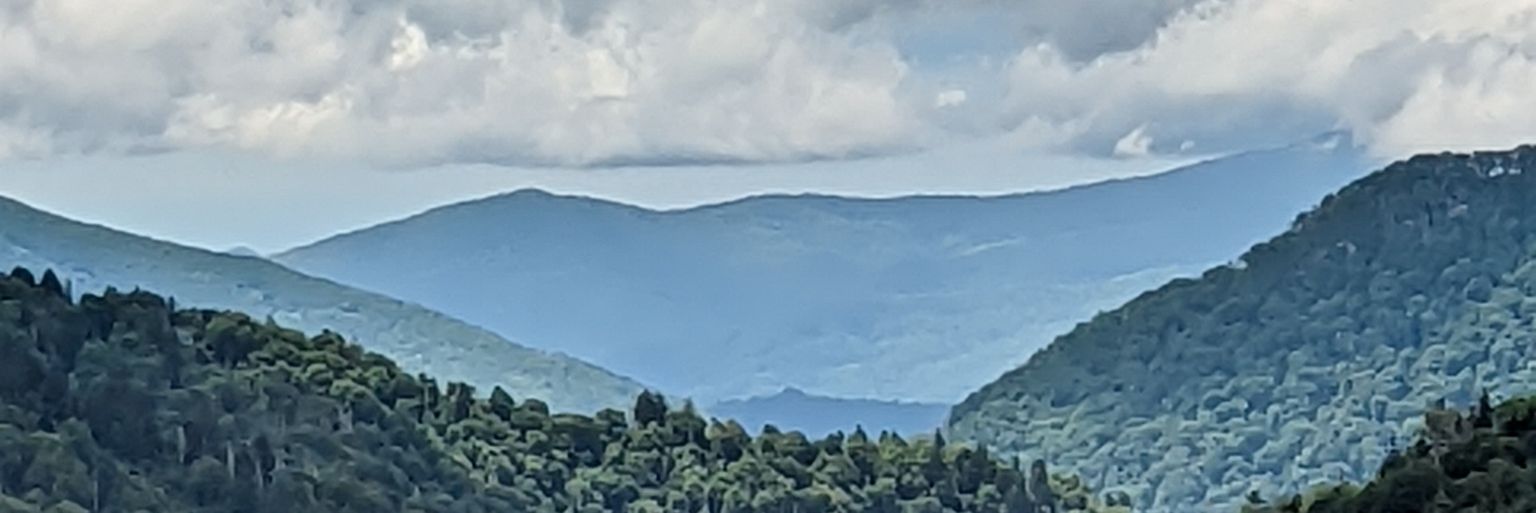 heathlloyd's profile banner image
