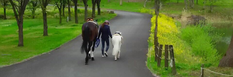 関　郁美　Atelierカントレラ banner