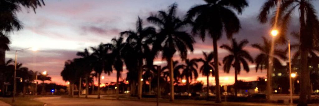 joannaaaa_17's profile banner image