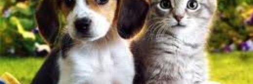 DavidBe37467489's profile banner image