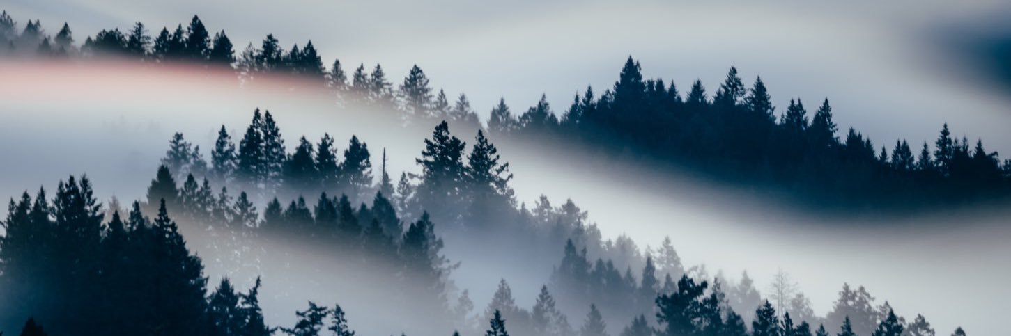 JakeDawson7's profile banner image