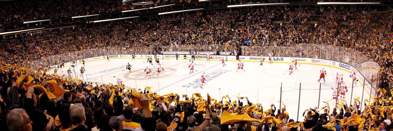 Bruins Muse banner