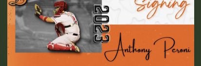 mp banner