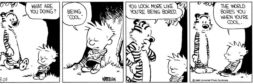 Igor Curkovic banner