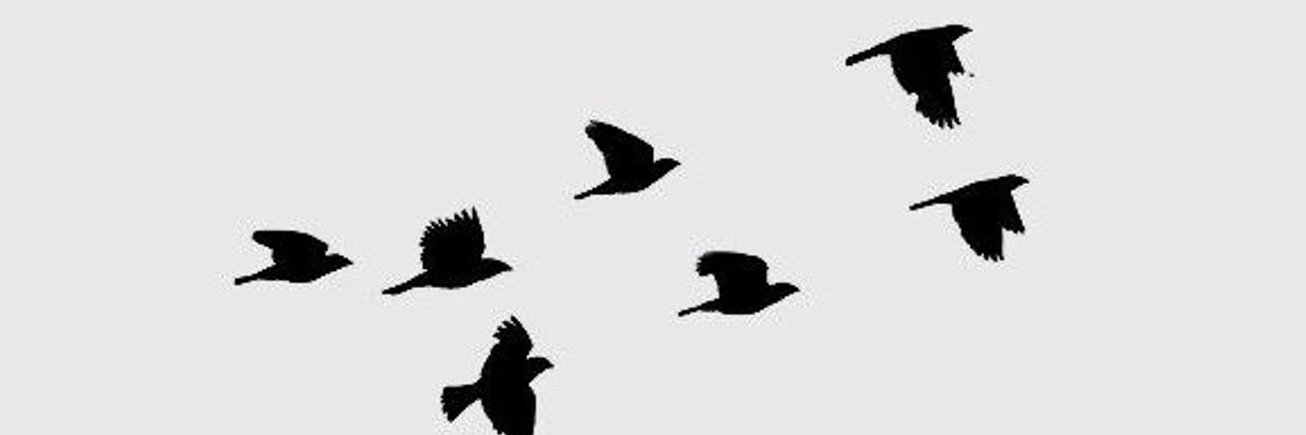 Becquigny2's profile banner image