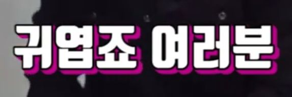 으앙 banner