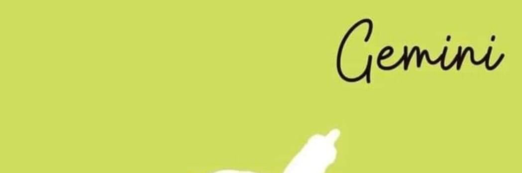 Knowshade1's profile banner image
