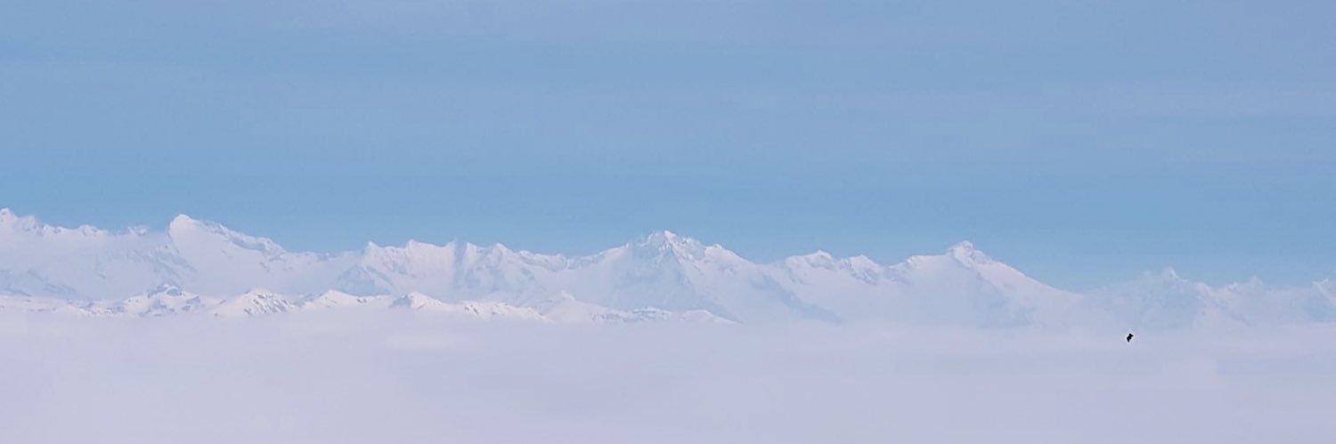 Nicola Orsini banner