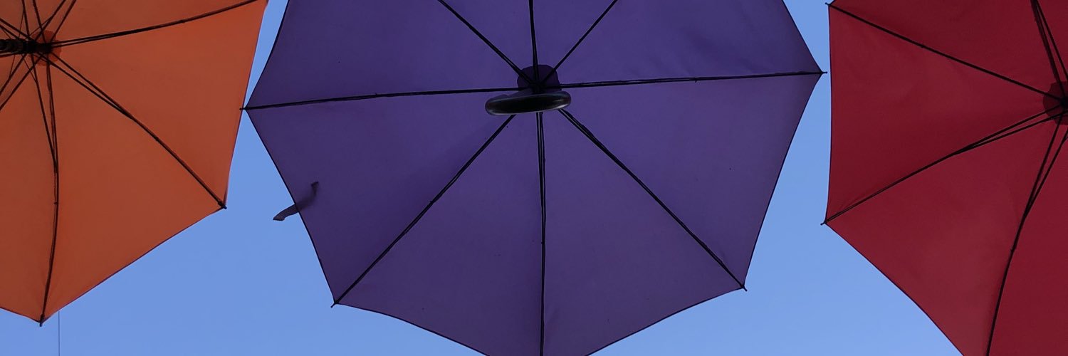 Nicole Cimbak banner