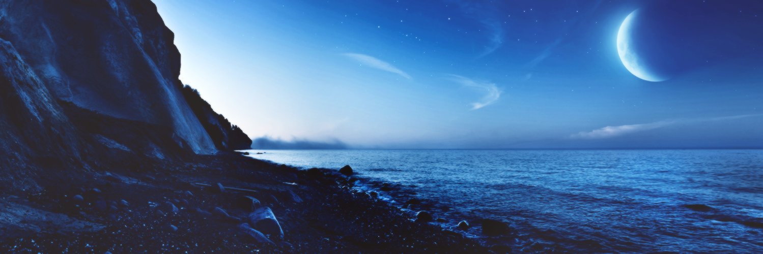 walmarts's profile banner image