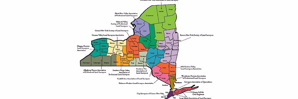 NYSAPLS banner
