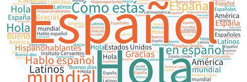 Señora Rada banner
