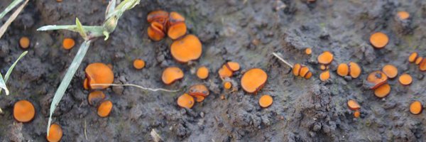 GaryBending Profile Banner