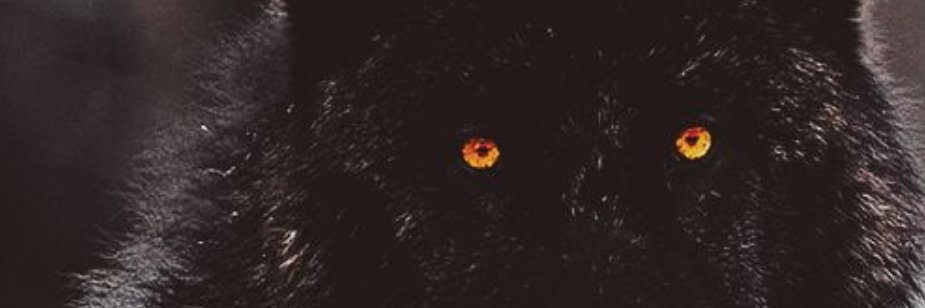 ItsYoBoySus's profile banner image