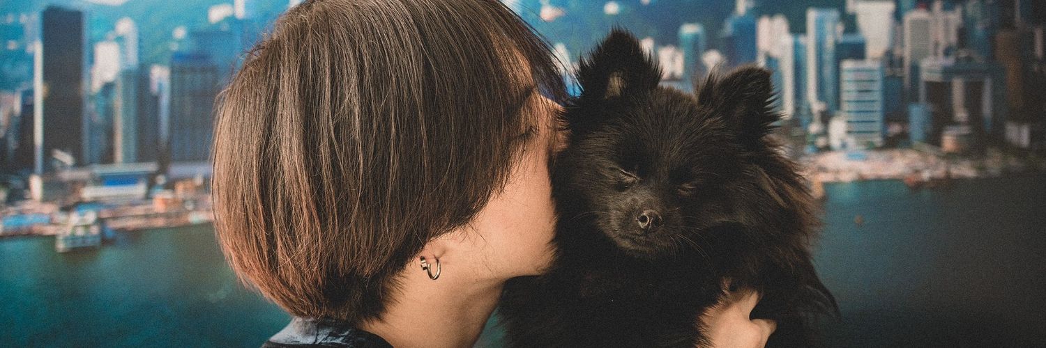 Tinchen0608's profile banner image