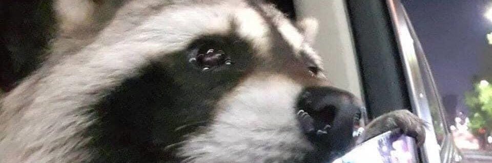 zbthna's profile banner image