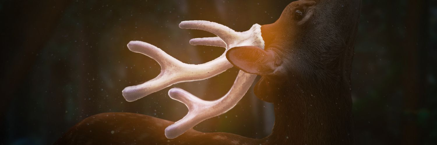 Beneran Farih banner