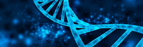 YuLiu_Sunny Profile Banner