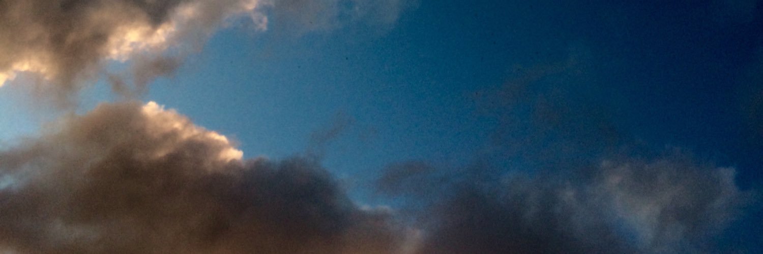 malinfisch's profile banner image
