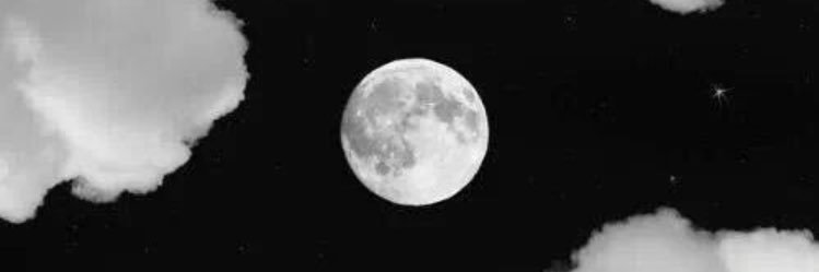 nastacameleo's profile banner image