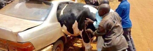 chris_lavim Profile Banner