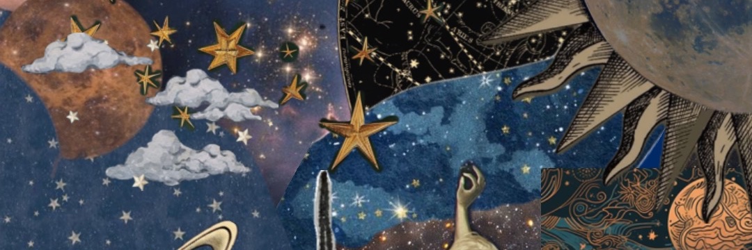 şim ⋆˚⟡. banner