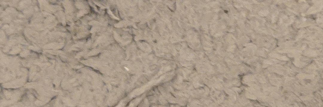 browndunk's profile banner image