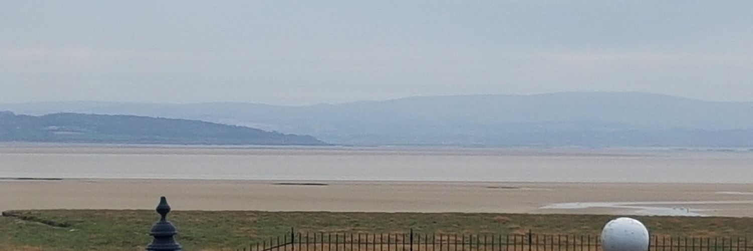 Jane Davidson banner