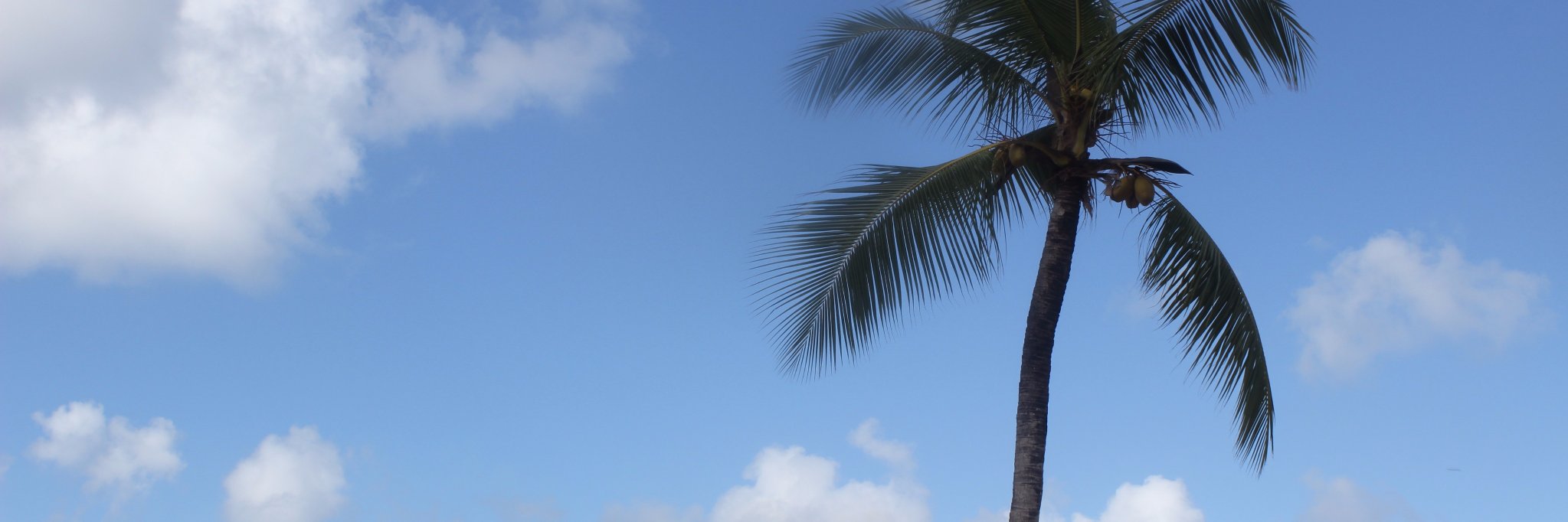 AkifPwC's profile banner image