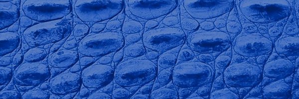 UFCaimanes Profile Banner