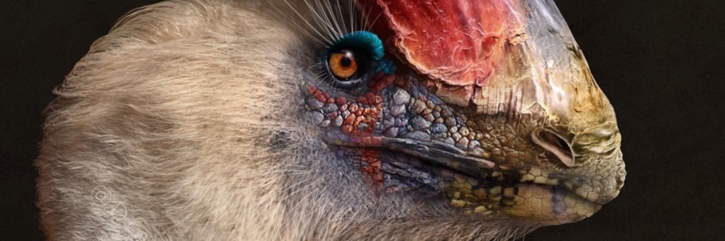 DragonsofWales 🇪🇺🏴󠁧󠁢󠁷󠁬󠁳󠁿 banner