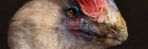 DragonsofWales Profile Banner