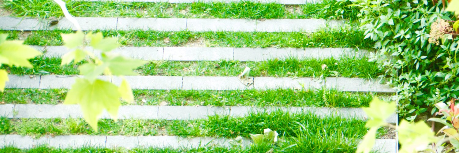 BCNvidⓔo banner