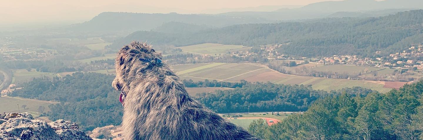 TRisnen's profile banner image