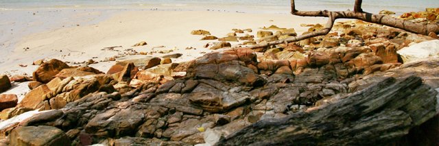 🇦🇹kritischerGeist🚜🥔 banner