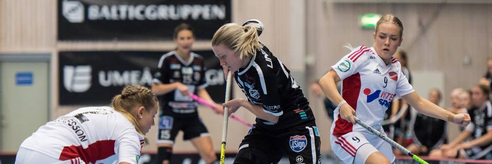 SSL Dampodden banner