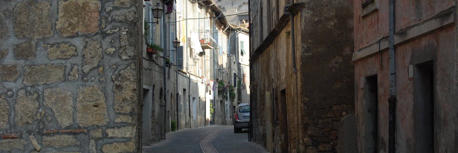 Massimo Bergamini banner