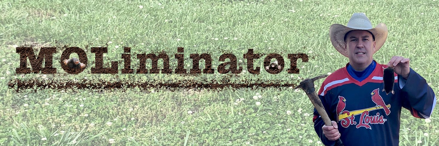 MOLiminator banner