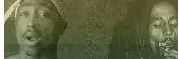 BergTheWord's profile banner image