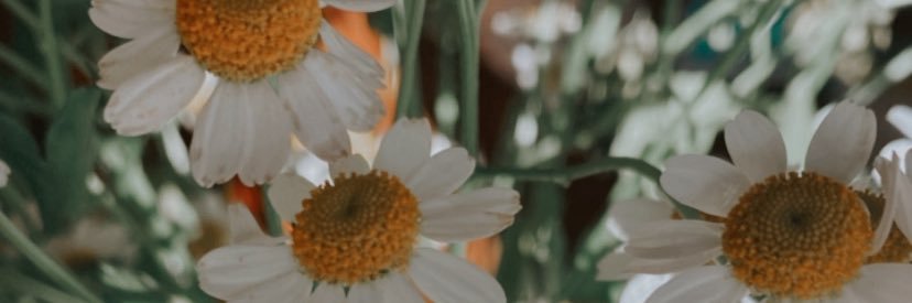 HannahLempke's profile banner image
