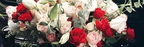 prettydidja's profile banner image